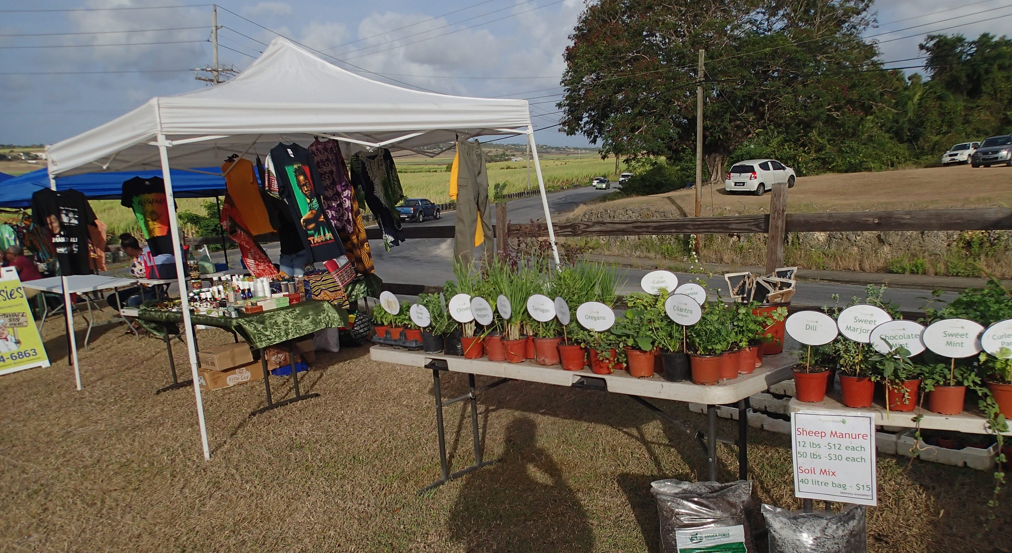 Brighton Farmers Market in Cool Things To Do at Barbados Info ...